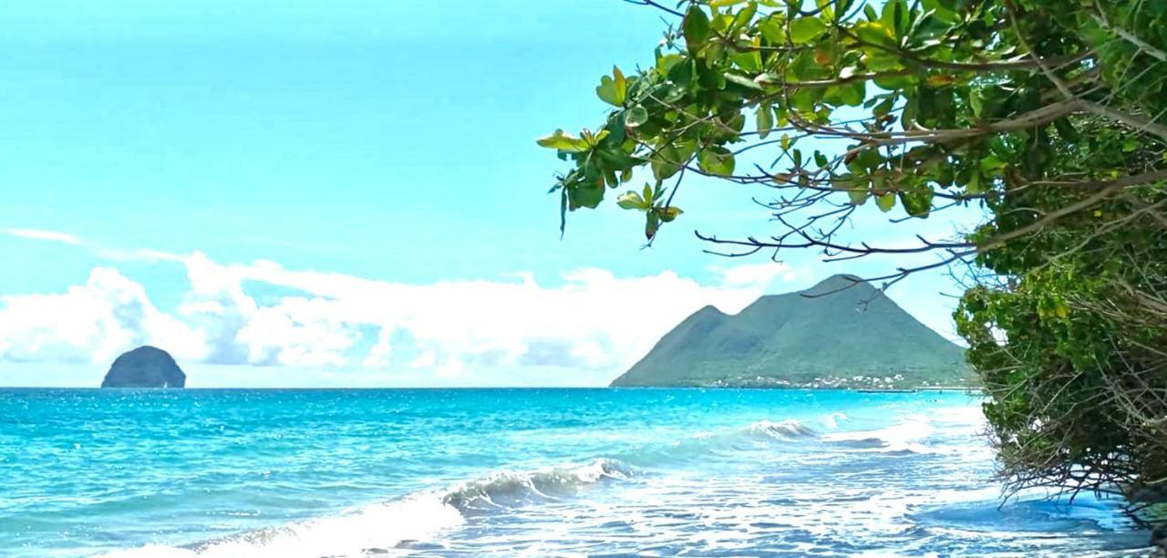 Coco Paradise Ле-Диаман Экстерьер фото